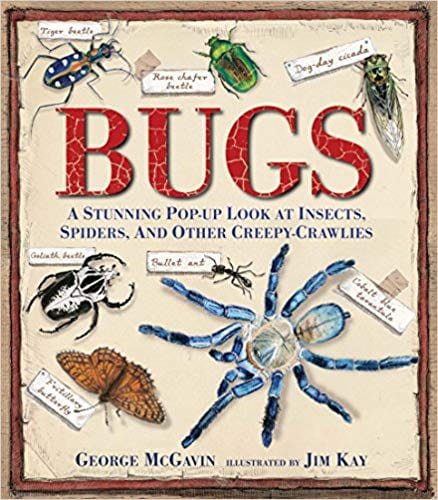 Bugs: A Stunning Pop-up Look at Insects, Spiders and Other Creepy Crawlies