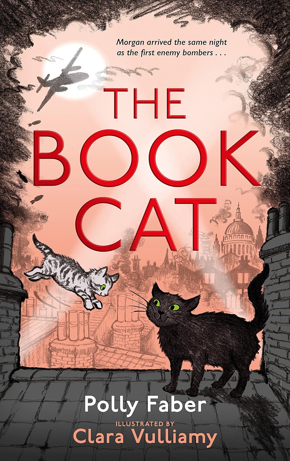 The Book Cat